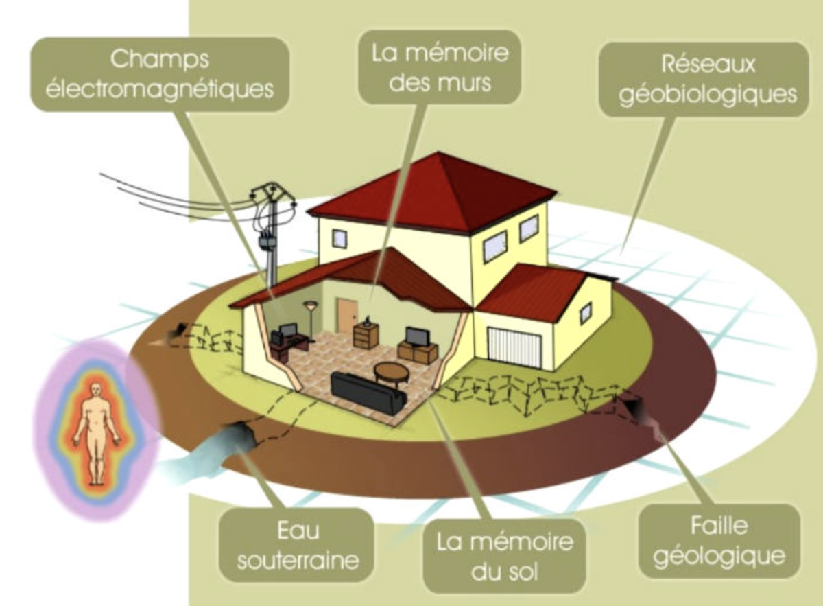 Principaux éléments étudiés en géobiologie Schéma illustrant les principaux éléments étudiés en géobiologie dans un habitat